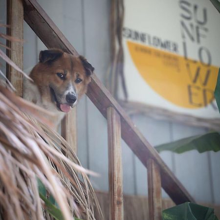Sunflower Guesthouse And Animal Rescue - Koh Lipe Exterior foto